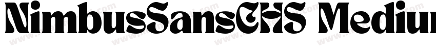 NimbusSansCHS Medium字体转换
